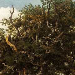 The Great Oak by Jacob van Ruisdael - 2_67163e893d19ba02d72073e6