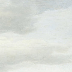 Panoramic Landscape near Rhenen with the Huis ter Lede by Anthonie Van Borssom - 2_671645f83d19ba02d7207437
