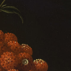 Strawberries in a Chinese Porcelain Bowl by Adriaen Coorte - 2_671646093d19ba02d720743a