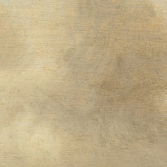 View of Arnhem by Jan van Goyen - 2_6716463f3d19ba02d7207441