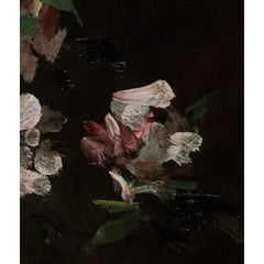 Pink Azalea—Chinese Vase by William Merritt Chase - 2_6731364812f9211d49d3d79d