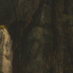Study of Rocks in Pearson's Ravine by Asher Brown Durand - 2_67392fd7746ff704b89f893b