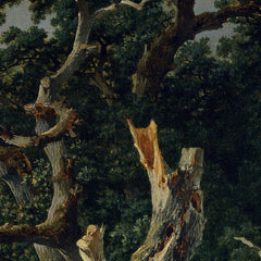 Oak forest by Remigius Adrianus van Haanen - 2_673cad7d5e0c5e198f5ec5ec