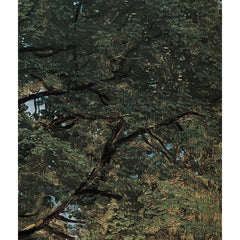 Maple Trees at Ischl by Ferdinand Georg Waldmüller - 2_673cbd265e0c5e198f5ec65a