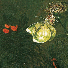 Patch of Grass with Thistle, Frogs, and Dragonfly by Franz Michael Siegmund von Purgau the Elder - 2_673cdf385e0c5e198f5ec712