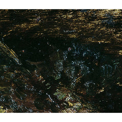 Mountain stream in Ramsau by Emil Jakob Schindler - 2_673db71c5e0c5e198f5ec744