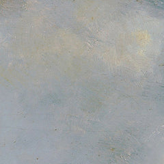 The Island of St. Paul in the Indian Ocean by Joseph Selleny - 2_67433e8afaa684e1cf4ba537