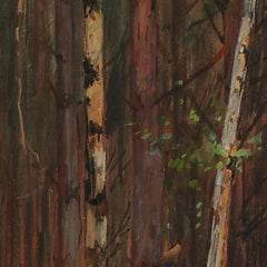 Forest Interior by Hans Tichy - 2_6744836cfaa684e1cf4ba751