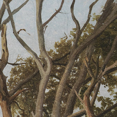 Woodland Scene with a Dead Tree by Hermann Carmiencke - 2_67674005b7c995d9501640b4