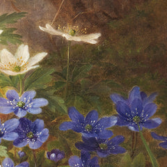 Anemoner by Anthonie Christensen - 2_67674cbbb7c995d950164191