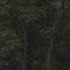 Twilight Setting in a Wood near Iselingen Manor, Zealand by P.C. Skovgaard - 2_67674ce2b7c995d950164196