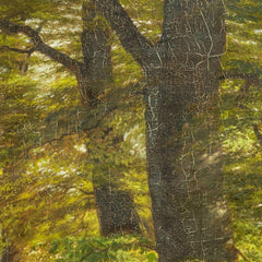 A Wood near Frederiksborg Castle by Godtfred Rump - 2_67674d1cb7c995d9501641a2