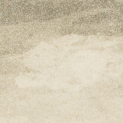 The Church of St. Francis, Assisi by W Manning - 2_6845fd5e489bc5bada5cf6fd
