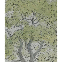 Wooded landscape by John Abbott - 2_6845ffc4489bc5bada5cf716