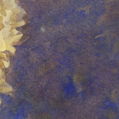 Yellow blossom and rosemary by Margaret Stoddart - 2_68460040489bc5bada5cf71d