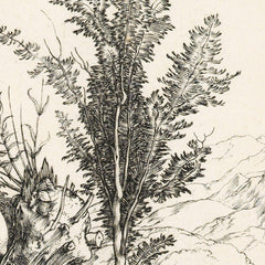 Hercules by Albrecht Dürer - 2_684603d6489bc5bada5cf75b