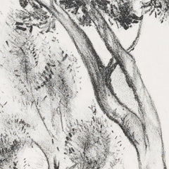 The olive grove by John Copley - 2_6846a8f91483fa5b35558ffe