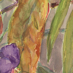 Solanum aviculare by Miss Fanny Richardson - 2_6846aa341483fa5b3555901b