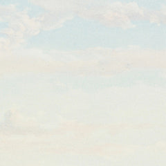 New Zealand Graphic and Descriptive. Nelson. by Charles Decimus Barraud - 2_6846b2af1483fa5b355590d5