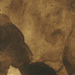Hermit by Petrus van der Velden - 2_6846ded71483fa5b355591d0