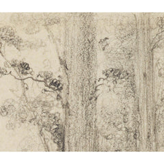 Hutt Road, round the first gorge, looking down by William Swainson FLS FRS - 2_6846e50c1483fa5b3555925d