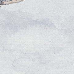 2_69b666c93dbd5d2a1d8c782c.jpg