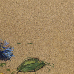2_69b7f1d501ec83eca964edfd.jpg