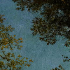 2_69dde69723d77509663dffb8.jpg