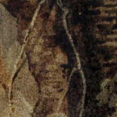 2_69dde6fe23d77509663dffb9.jpg