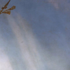 2_69dfcc0bc1725c2331acd7c2.jpg