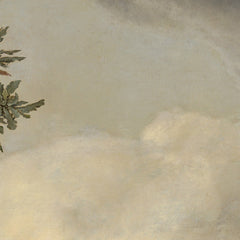 2_69e08ba7c1725c2331acd850.jpg