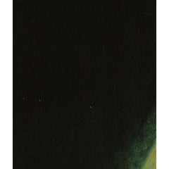 2_69e265aec1725c2331acdb52.jpg