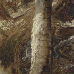 2_69e28654c1725c2331acdbb7.jpg