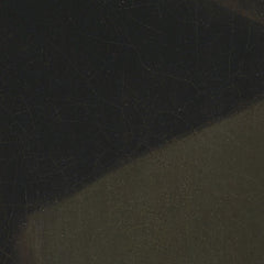 2_69e296b4c1725c2331acdbeb.jpg