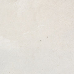 2_69e51064123e4f587a6cda73.jpg