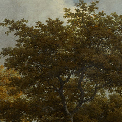 2_69e53eb6123e4f587a6cdb68.jpg