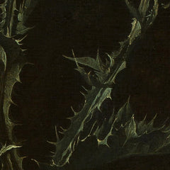 2_6a2fe8d6eb9867091b06e192.jpg