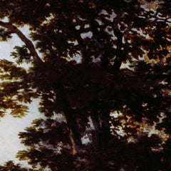 2_6a30452eeb9867091b06e1b5.jpg