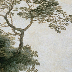 2_6a32df93eb9867091b06e269.jpg