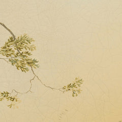 2_6a35582eeb9867091b06e2ed.jpg