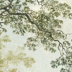 2_6a355b05eb9867091b06e2f3.jpg