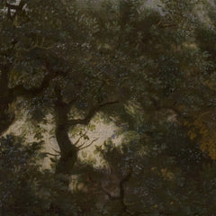 2_6a3a743f54744a3abfcf82ac.jpg