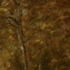 2_6a3e1b5554744a3abfcf83d3.jpg