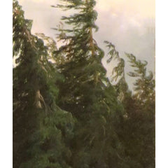 2_6a40f82f54744a3abfcf8492.jpg