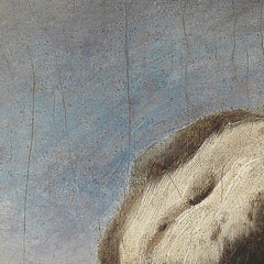 2_6a41175854744a3abfcf84a0.jpg