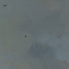 2_6a6ae88c0570a38b290863ad.jpg