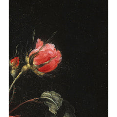 2_6a6c5ed399396138bb2ad046.jpg
