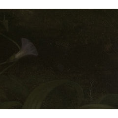 2_6a6cbd1799396138bb2ad056.jpg