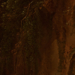 2_6a6e50e2678877258c0efaab.jpg