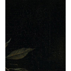 2_6a6e6802678877258c0efaca.jpg
